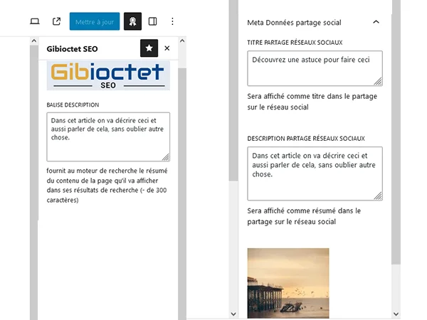 options du thème.