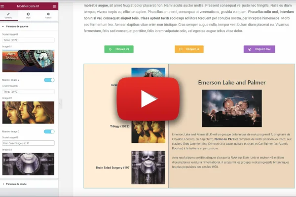 Développement d'un plugin WordPress pour Elementor